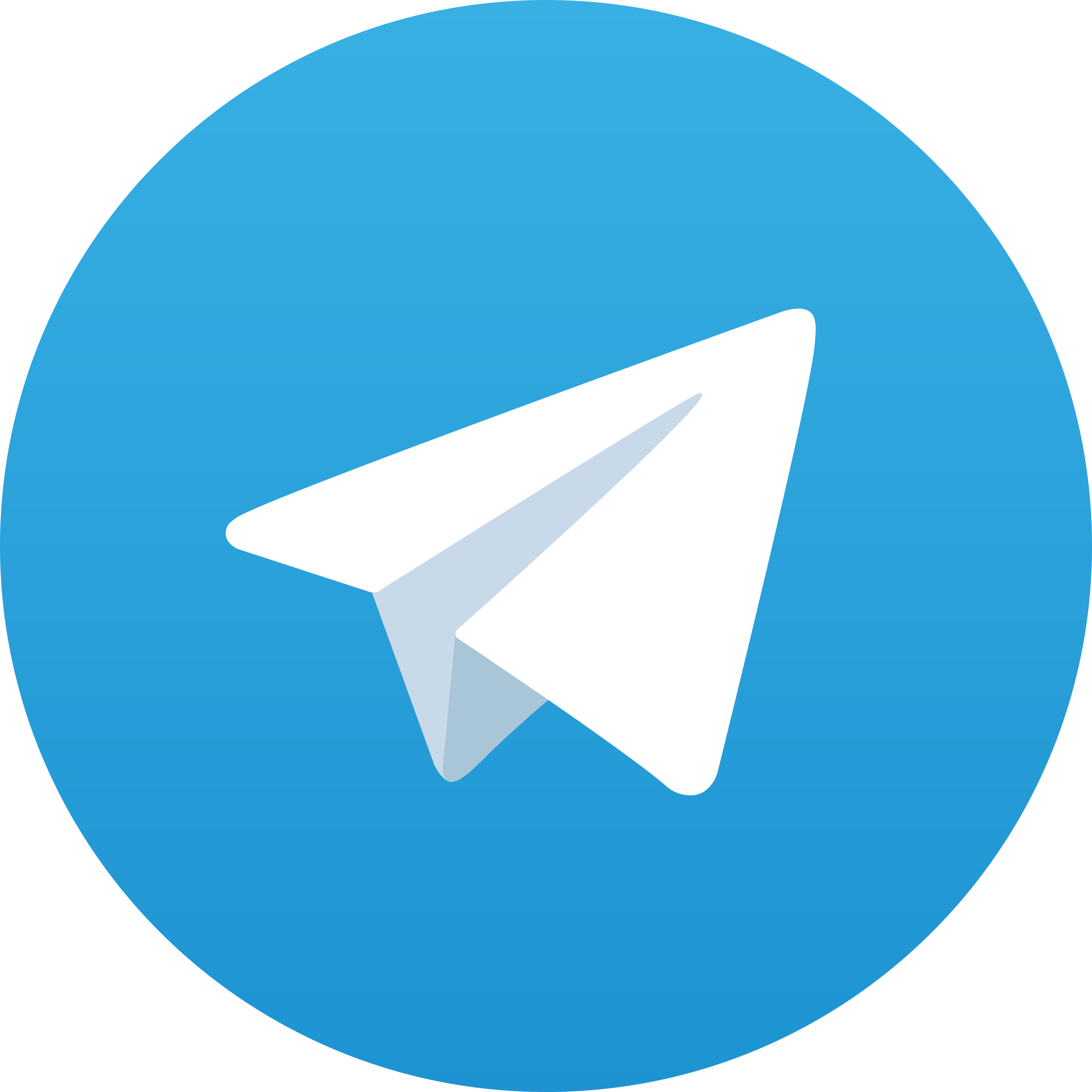 Chanel Telegram Resmi